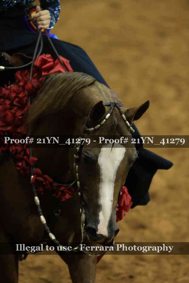 Proof 21YN_41279