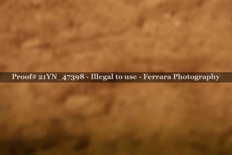 Proof 21YN_47398