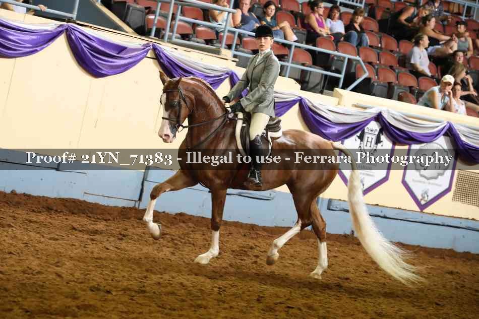 Proof 21YN_71383