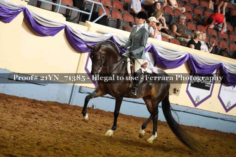 Proof 21YN_71385
