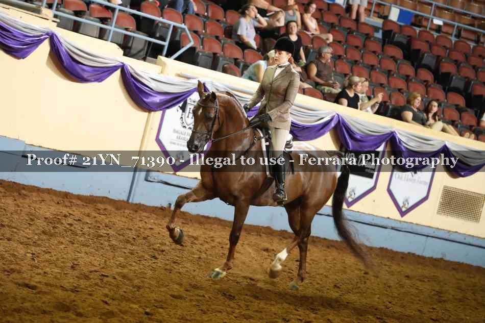 Proof 21YN_71390