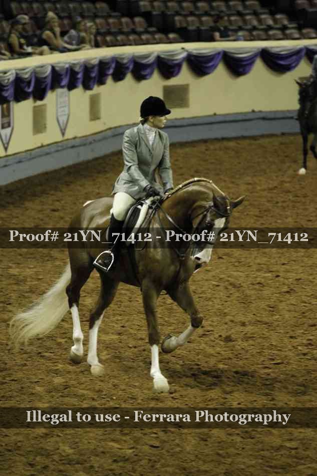 Proof 21YN_71412