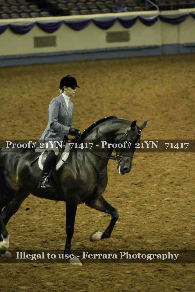 Proof 21YN_71417