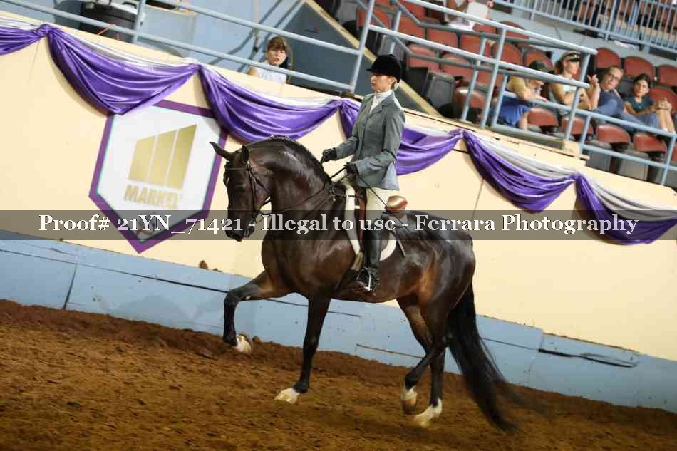 Proof 21YN_71421
