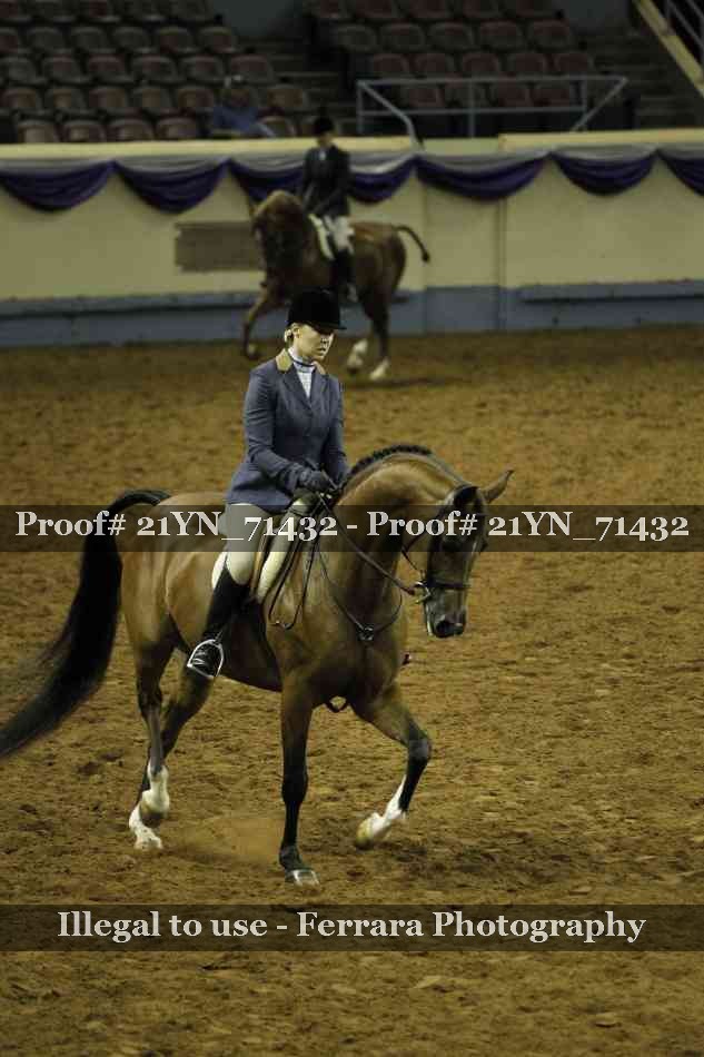 Proof 21YN_71432