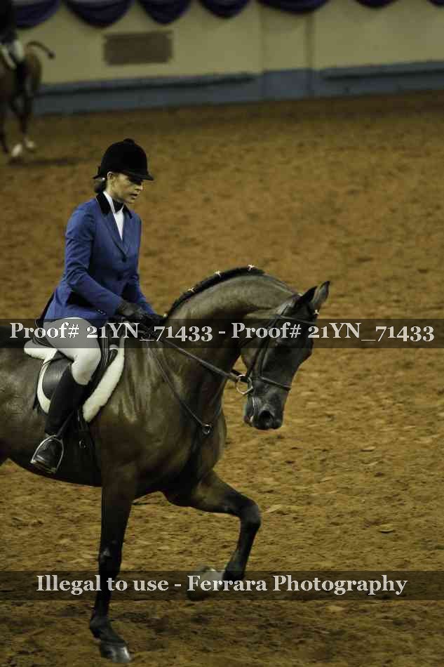 Proof 21YN_71433