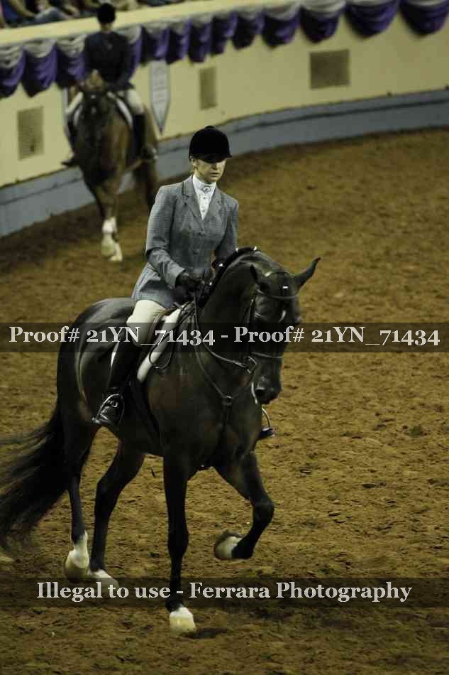 Proof 21YN_71434