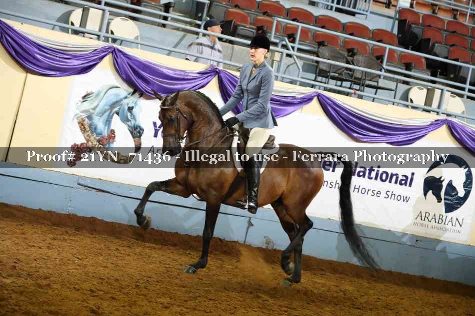 Proof 21YN_71436