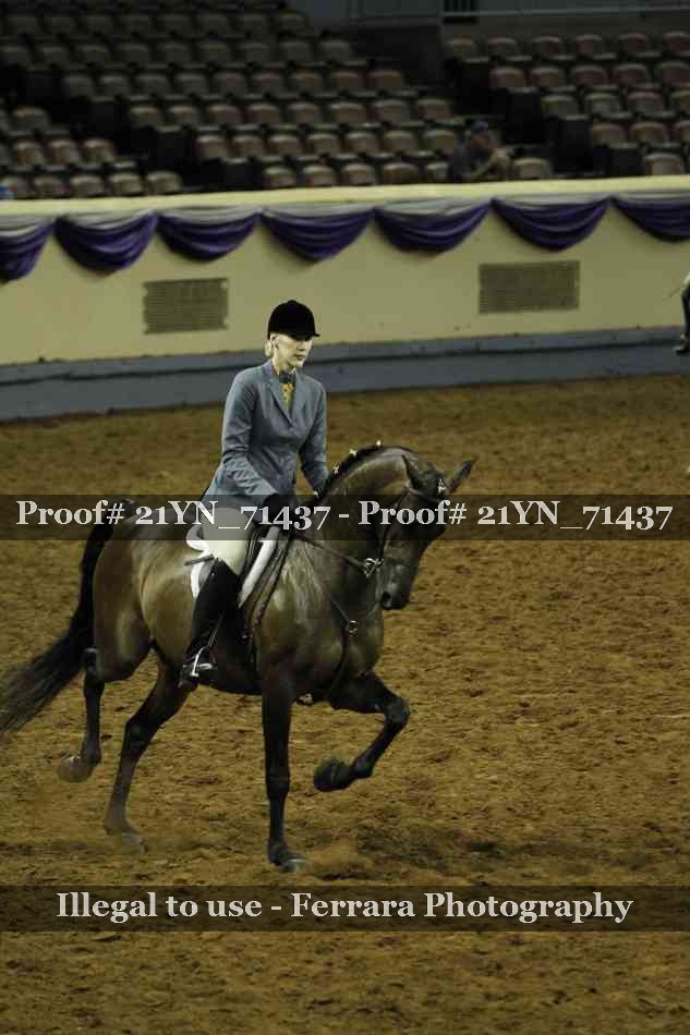 Proof 21YN_71437