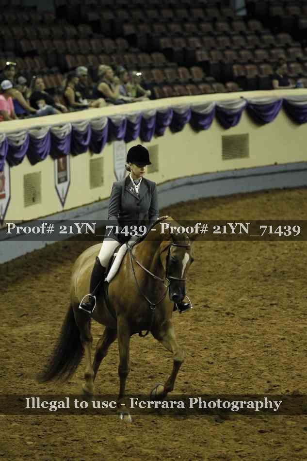 Proof 21YN_71439