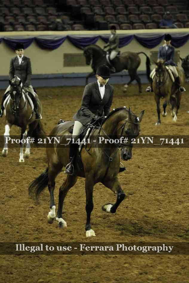 Proof 21YN_71441