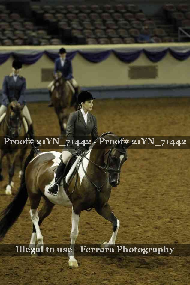 Proof 21YN_71442