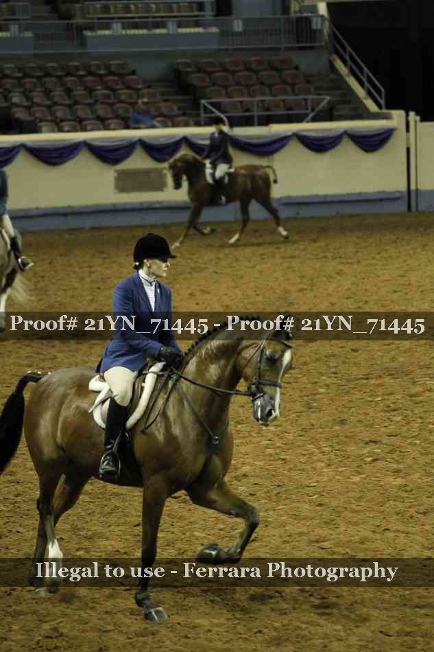 Proof 21YN_71445