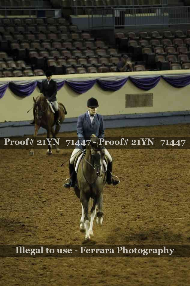 Proof 21YN_71447