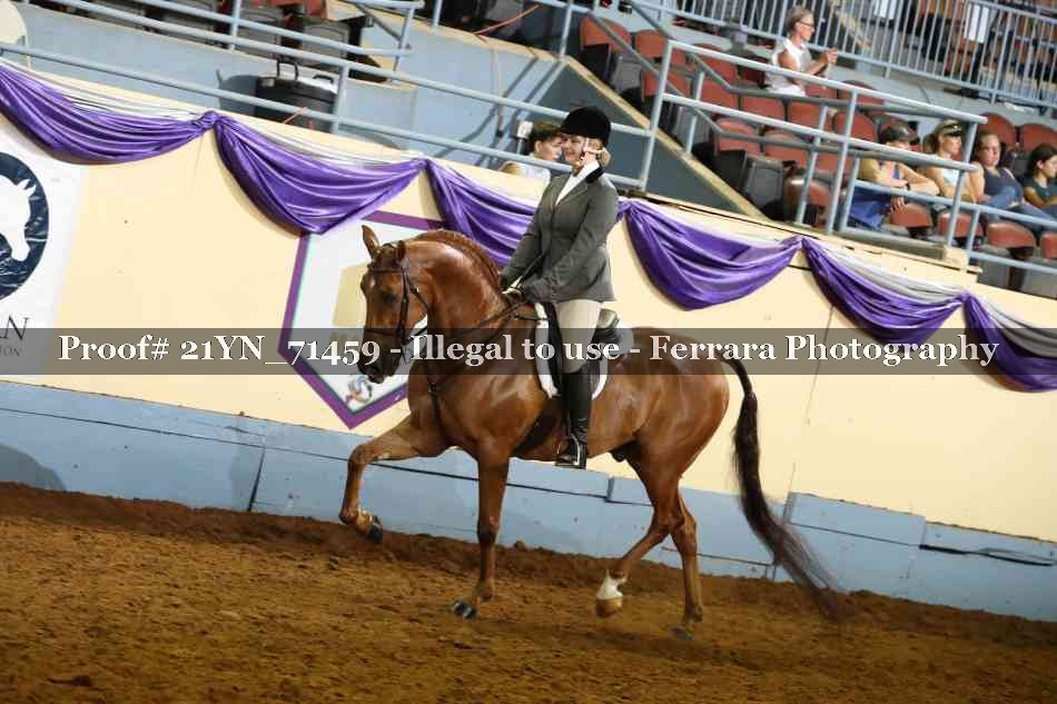 Proof 21YN_71459