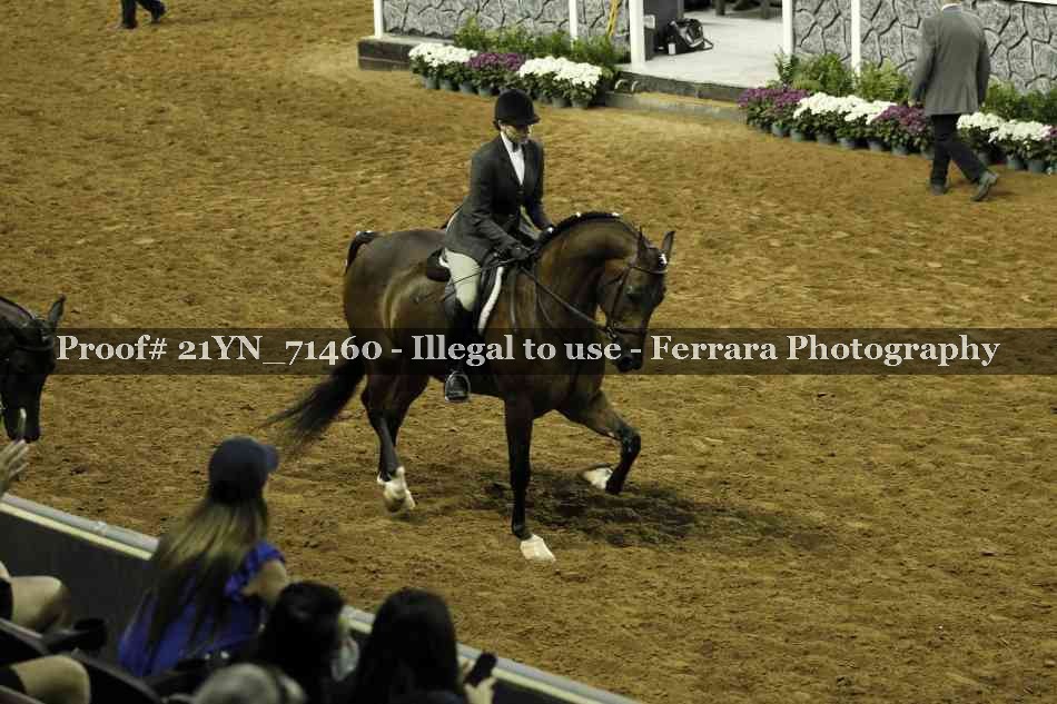 Proof 21YN_71460