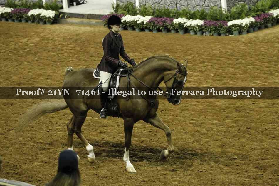 Proof 21YN_71461
