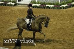 21YN_71461 proof