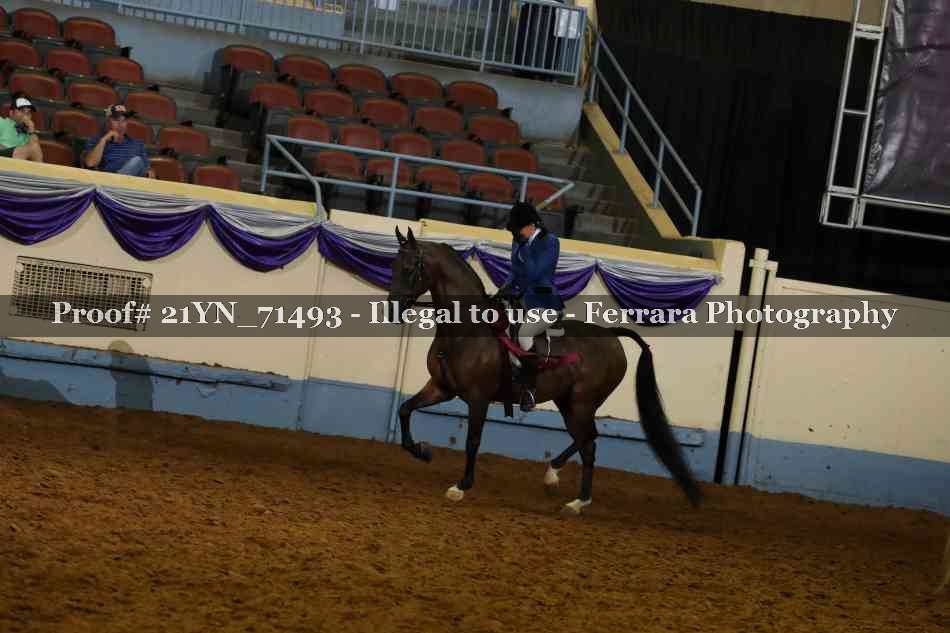 Proof 21YN_71493