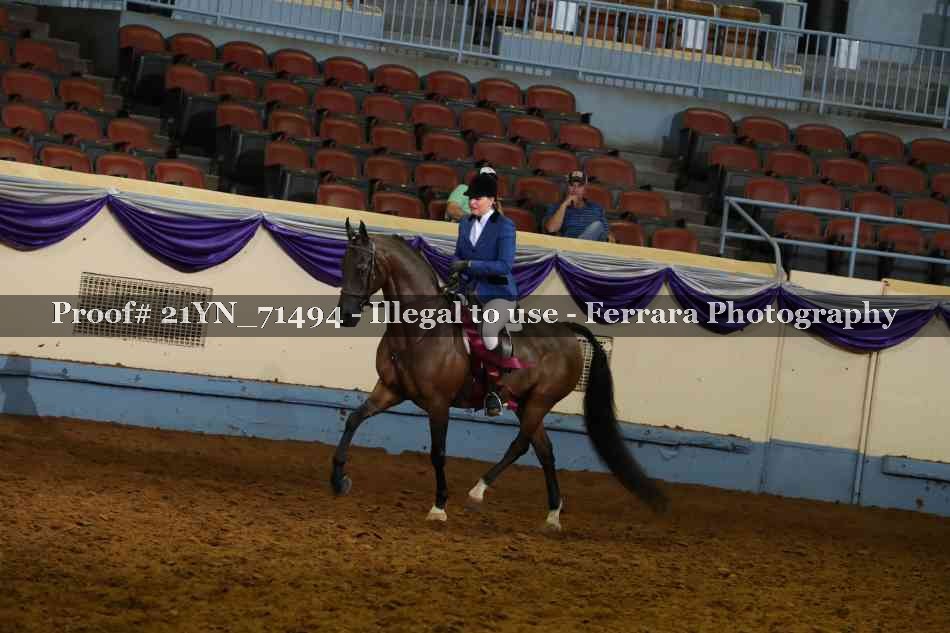 Proof 21YN_71494