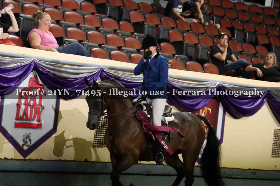Proof 21YN_71495