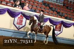21YN_71511 proof
