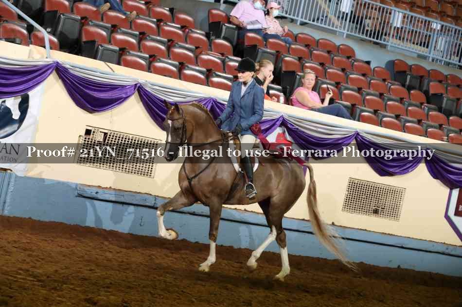 Proof 21YN_71516