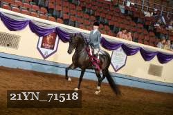 21YN_71518 proof