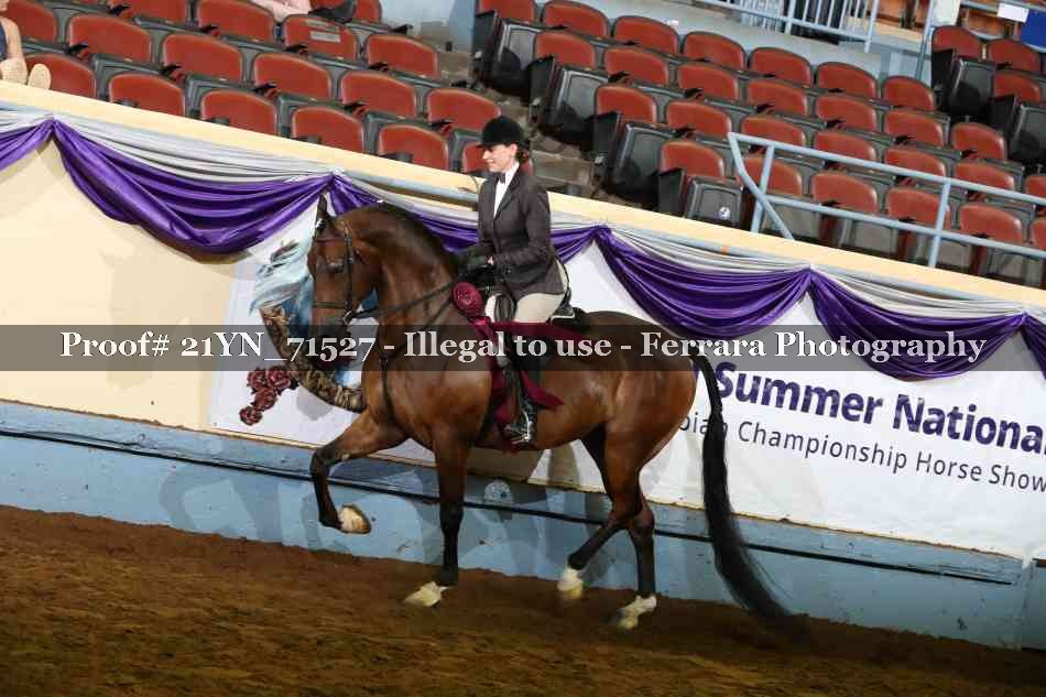 Proof 21YN_71527