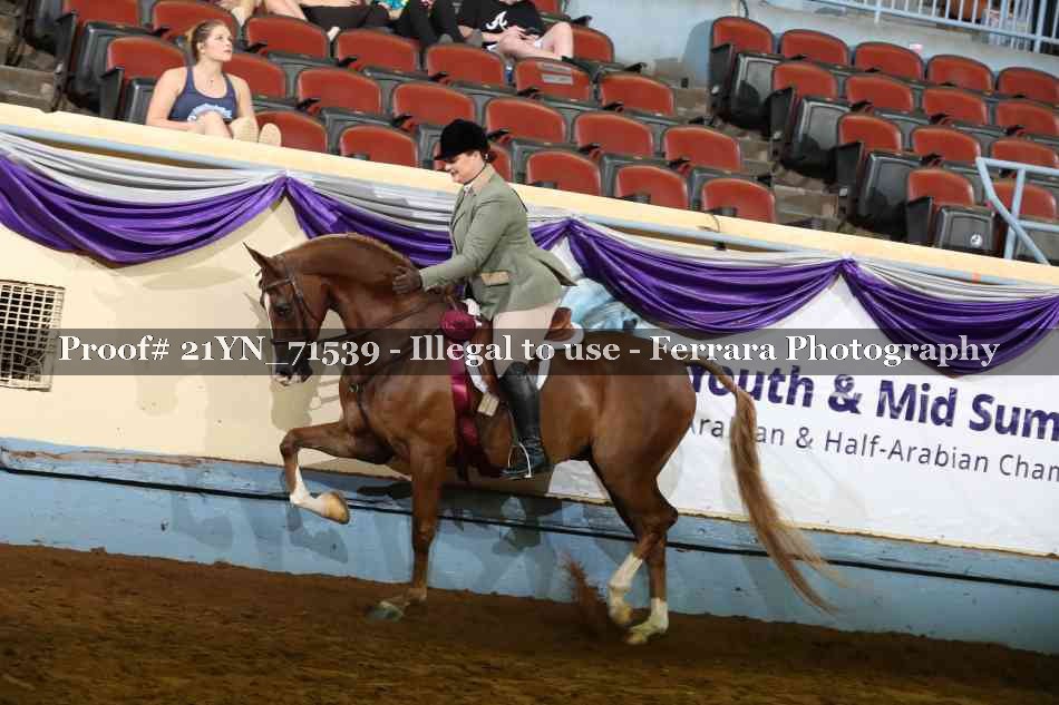 Proof 21YN_71539