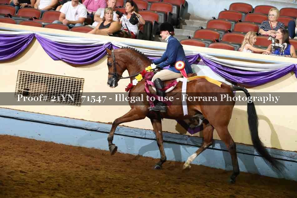 Proof 21YN_71547