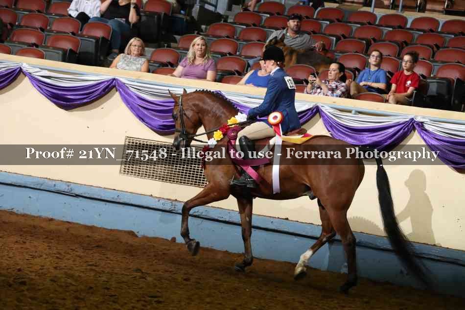 Proof 21YN_71548