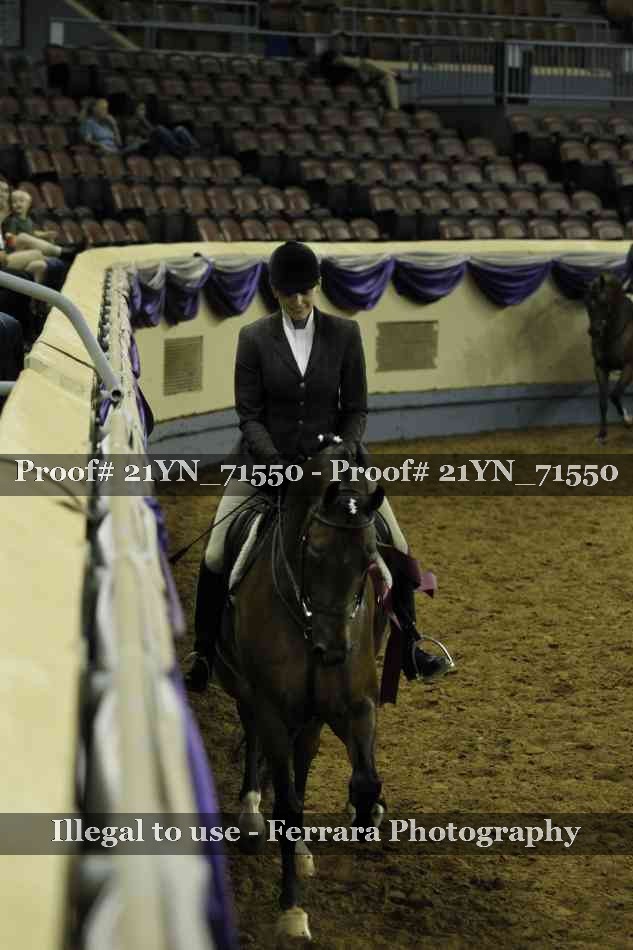 Proof 21YN_71550
