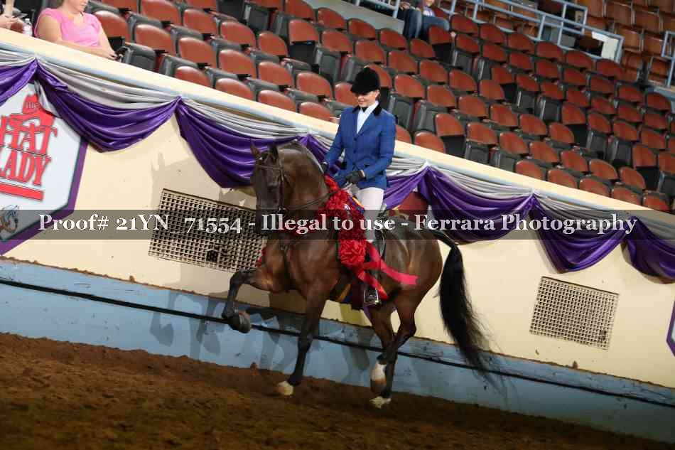 Proof 21YN_71554