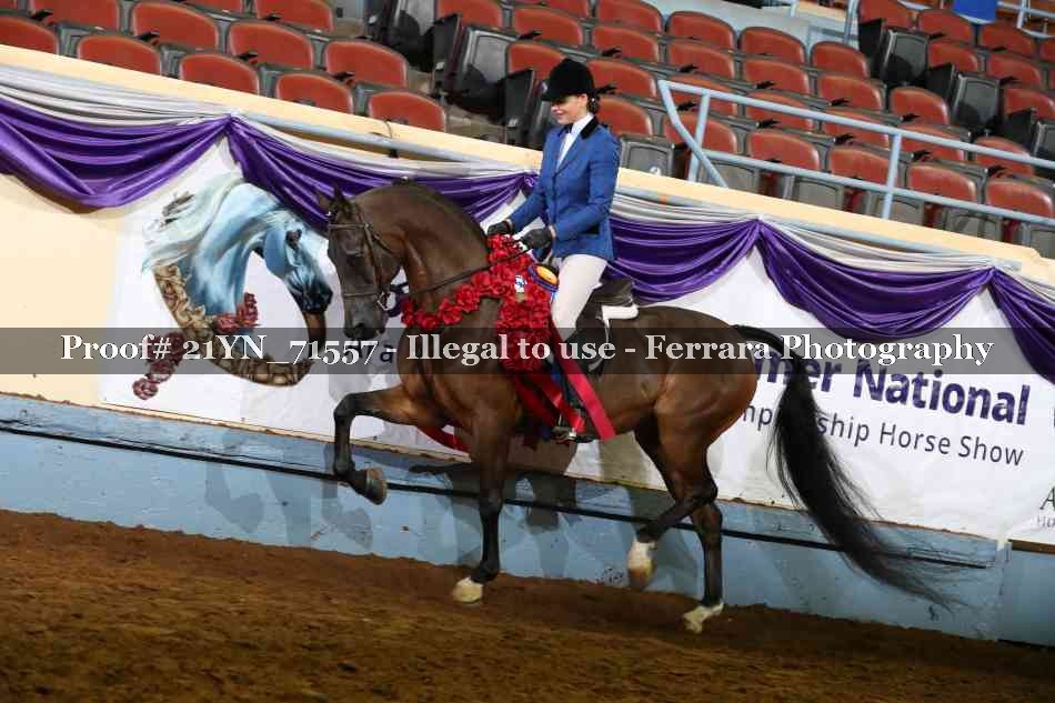 Proof 21YN_71557