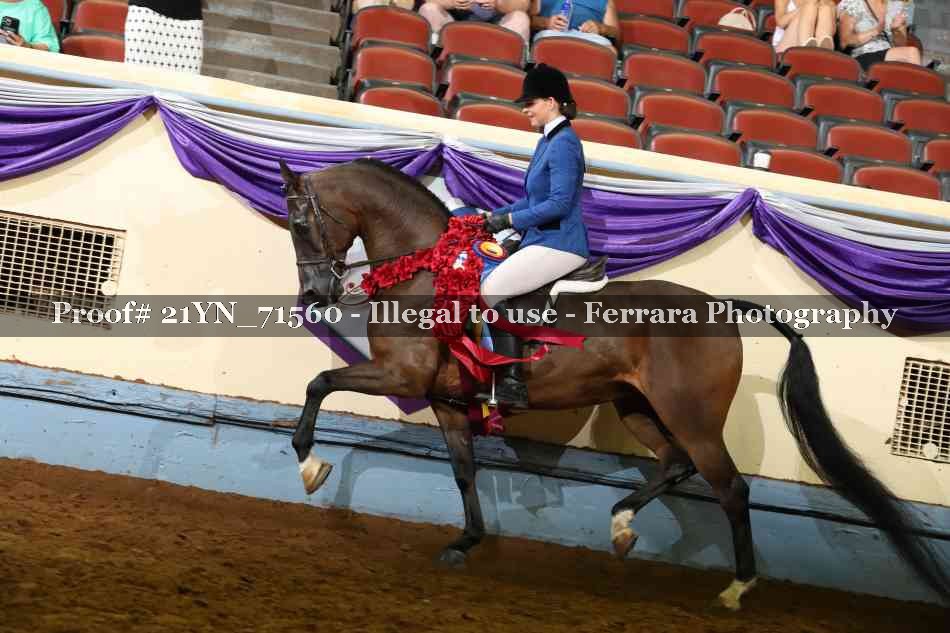 Proof 21YN_71560