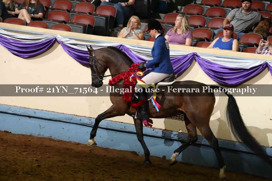 Proof 21YN_71564