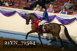 21YN_71564 proof