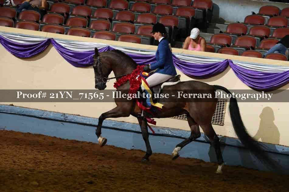Proof 21YN_71565
