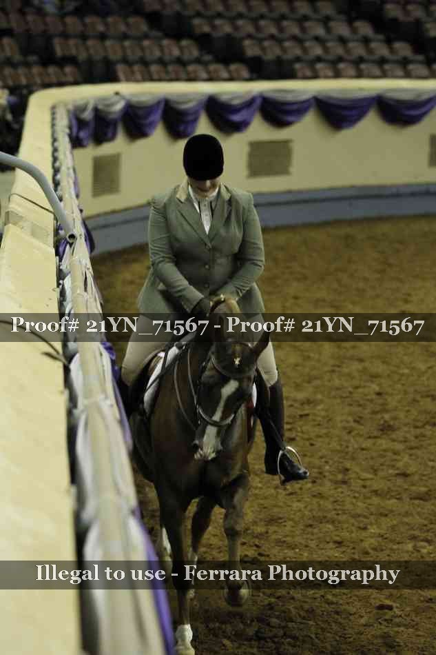 Proof 21YN_71567