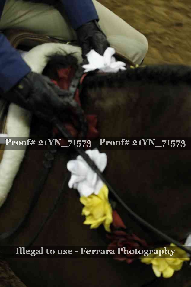 Proof 21YN_71573