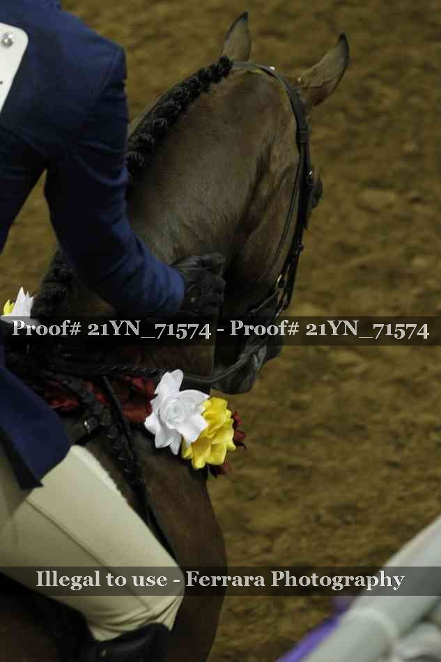 Proof 21YN_71574