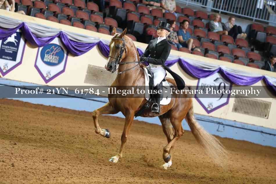 Proof 21YN_61784