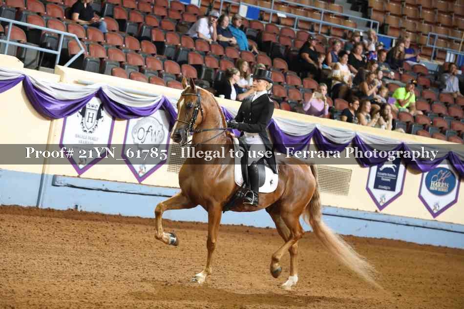 Proof 21YN_61785