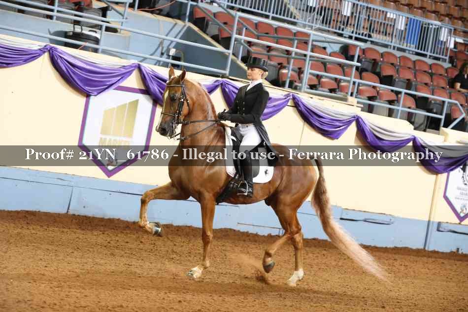 Proof 21YN_61786