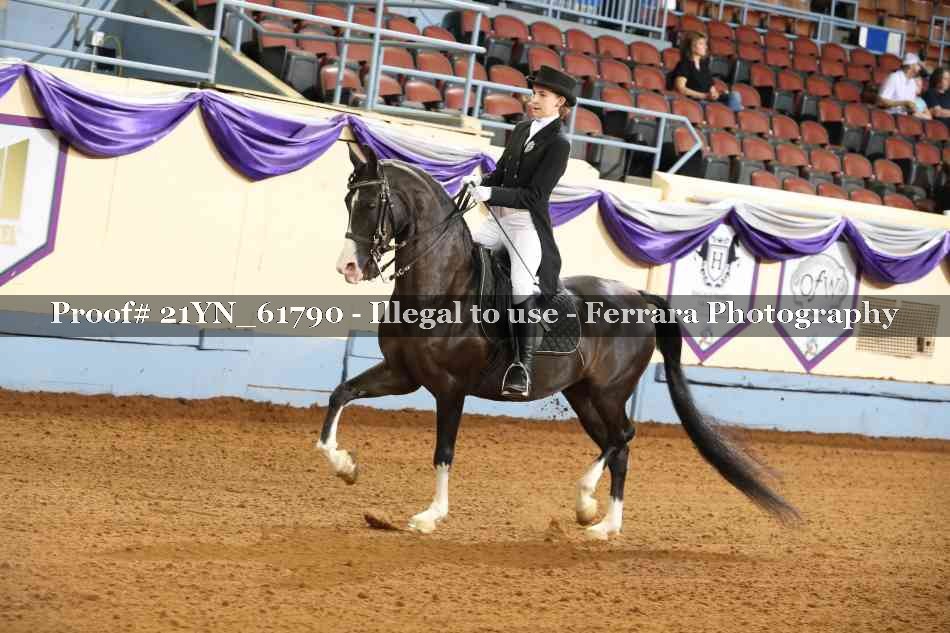 Proof 21YN_61790