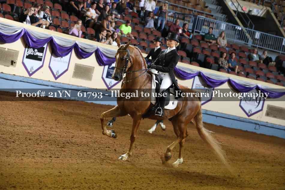 Proof 21YN_61793