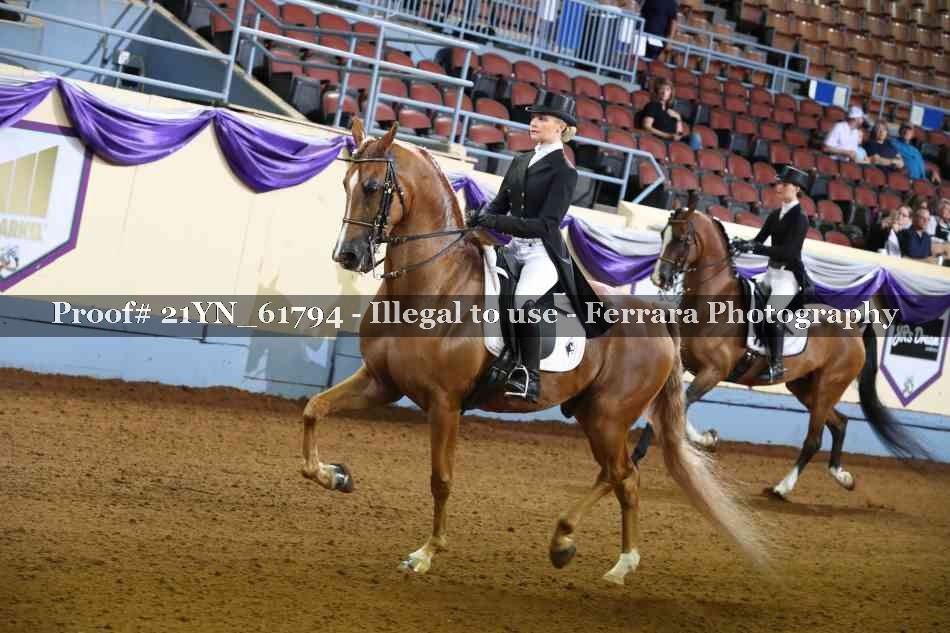Proof 21YN_61794