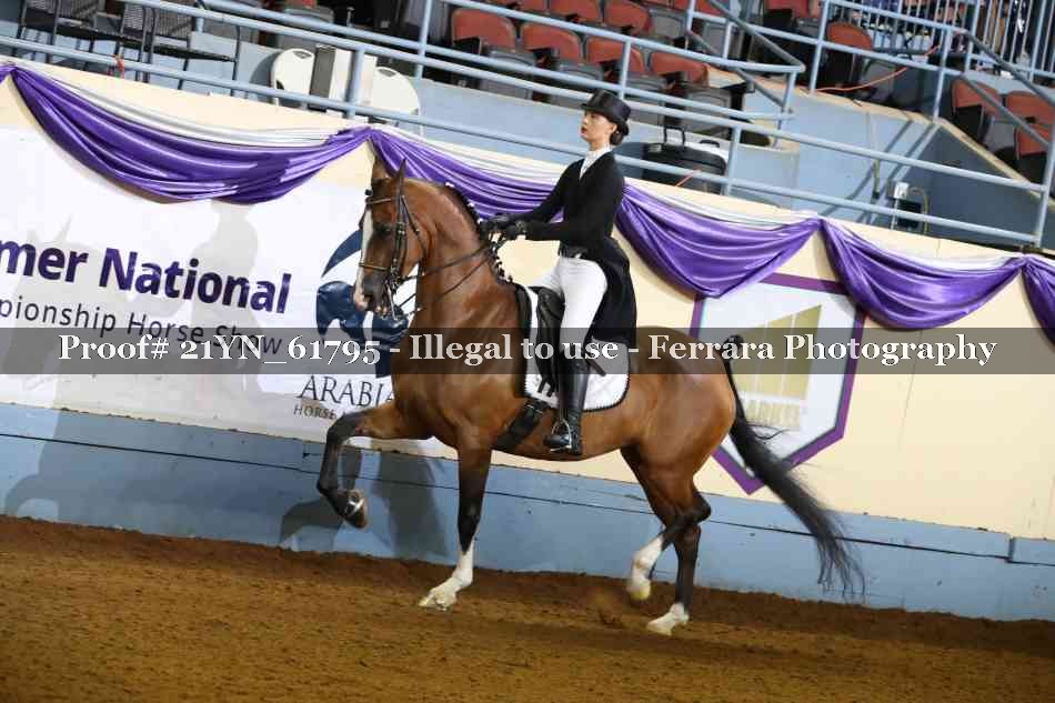 Proof 21YN_61795