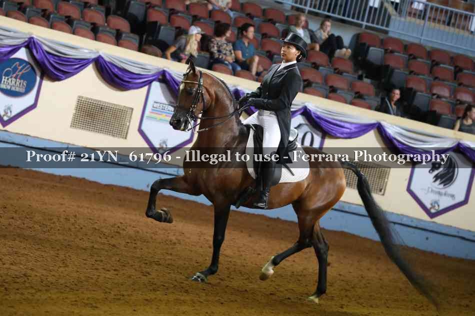Proof 21YN_61796